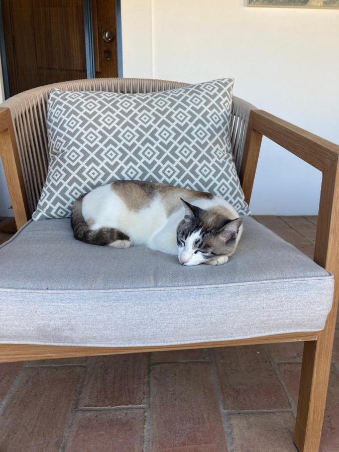 Casa Paz Tavira Villa Екстериор снимка
